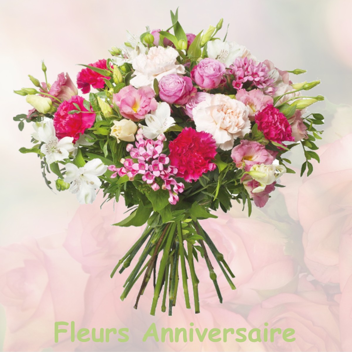 fleurs anniversaire VILLERS-BUZON